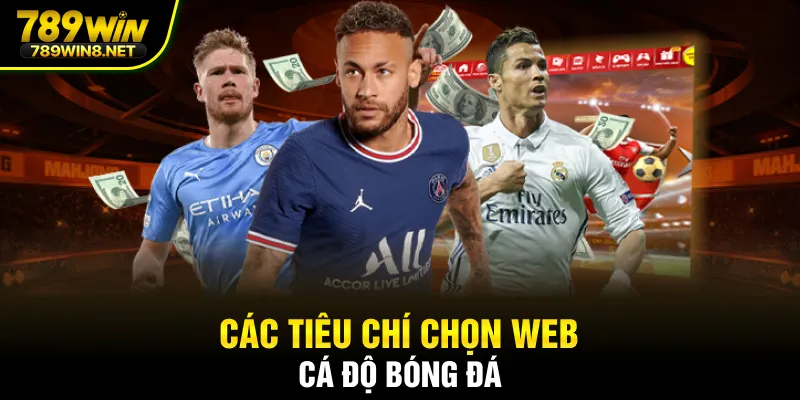 Các tiêu chí chọn web cá độ bóng đá