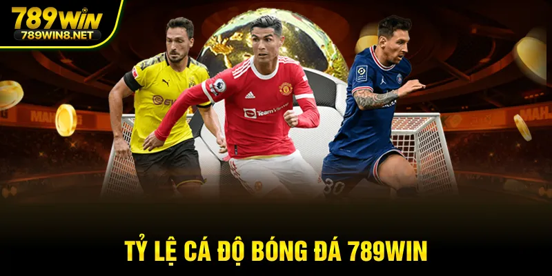 Tỷ lệ cá độ bóng đá 789win